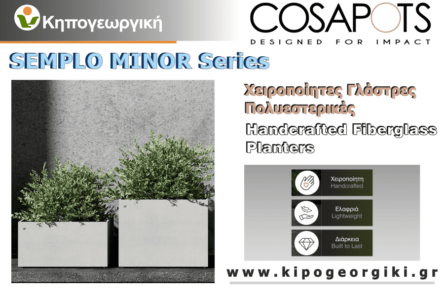 Semplo Minor Cosapots